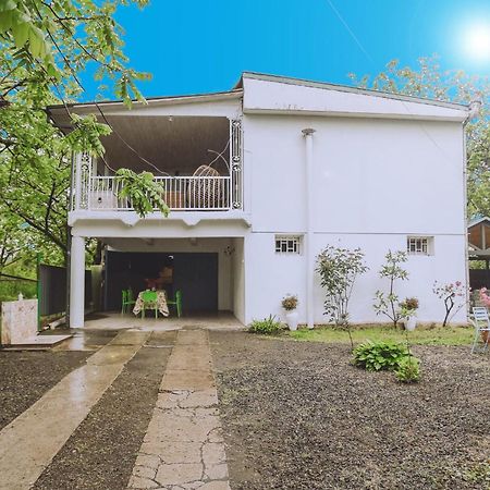 Вилла Qiwi House Уреки Экстерьер фото